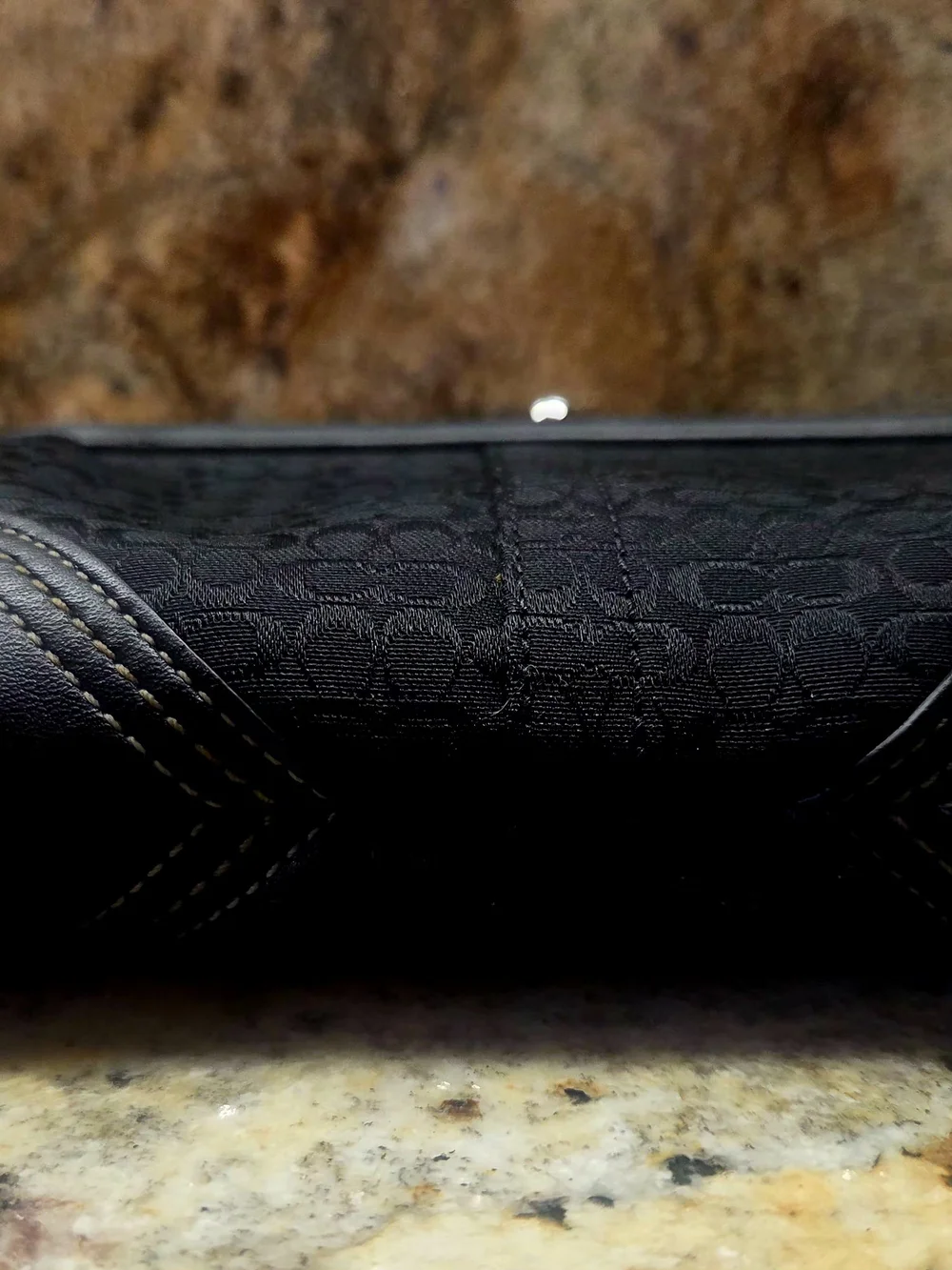Coach Y2K Kisslock Soho Wristlet Clutch